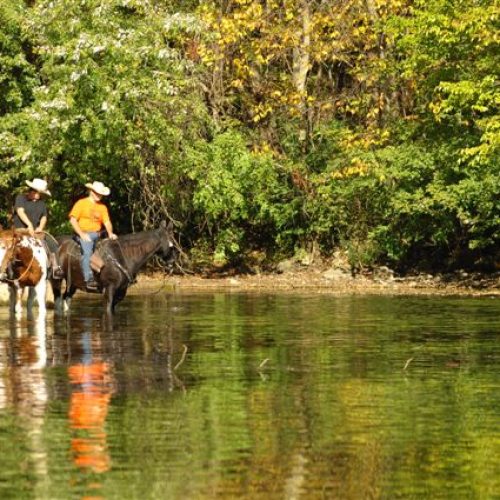 Reservoir horse trails Muncie